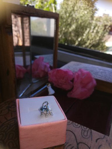 CHARM DIJE ABALORIO PARA PULSERA O COLGANTE PLATA 925 - 5