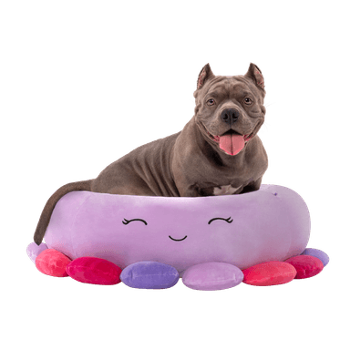 CAMA FUCSIA GRANDE  PARA PERRO 76 CM. SQUISHMALLOWS - 1