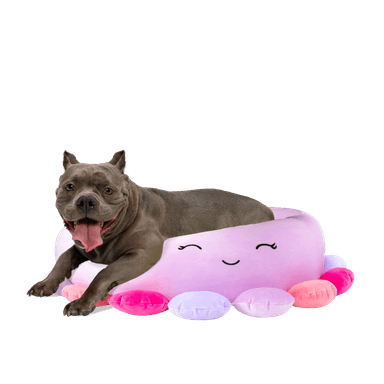 CAMA FUCSIA GRANDE  PARA PERRO 76 CM. SQUISHMALLOWS - 2