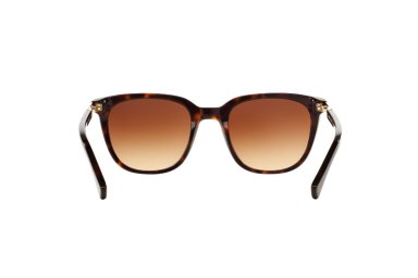 LENTES SOL RALPH LAUREN DARK TORTOISE - 7