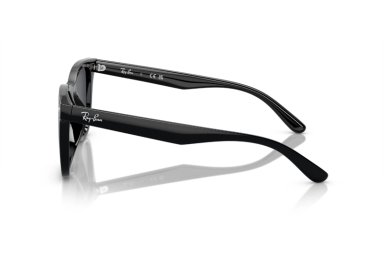 LENTES SOL RAY-BAN NEGRO - 3