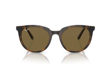 LENTES DE SOL DARK HAVANA RAY-BAN - 1