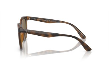 LENTES DE SOL DARK HAVANA RAY-BAN - 3