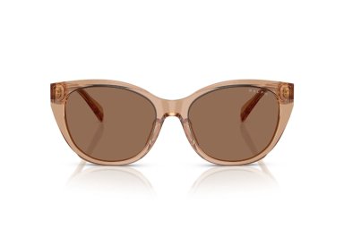 LENTES SOL RALPH LAUREN MARRÓN - 1