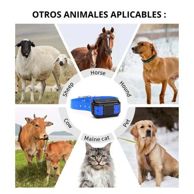 GPS 4G RASTREADOR MICODUS MP50G 4G ANIMAL + CONFIGURACIÓN + SIM - 5
