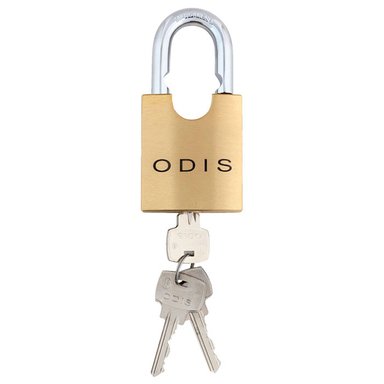 CANDADO ODIS 240 CON HOMBROS 40MM - 6