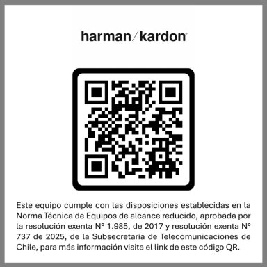PARLANTE INALAMBRICO HARMAN KARDON GO + PLAY 3 GRIS - 2