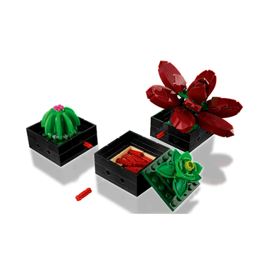 LEGO 10309 SUCULENTAS - 5