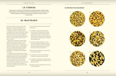 LIBRO EL ARTE DE ELABORAR CERVEZA EN CASA - JAEGA WISE - 2