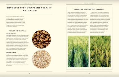 LIBRO EL ARTE DE ELABORAR CERVEZA EN CASA - JAEGA WISE - 9