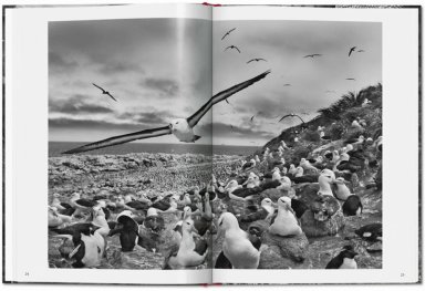 LIBRO SEBASTIAO SALGADO. GENESIS (BOLSILLO) - SEBASTIAN SALGADO - 4