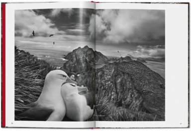 LIBRO SEBASTIAO SALGADO. GENESIS (BOLSILLO) - SEBASTIAN SALGADO - 5
