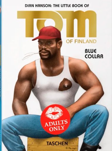 LIBRO PO - TOM OF FINLAND. BLUE COLLAR - INT - DIAN HANSON - 6