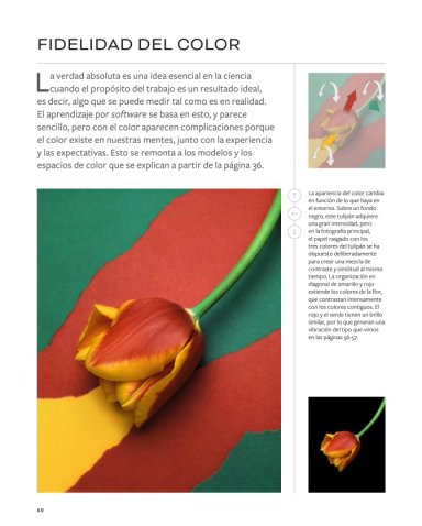 MICHAEL FREEMAN SOBRE COLOR Y TONO - 4