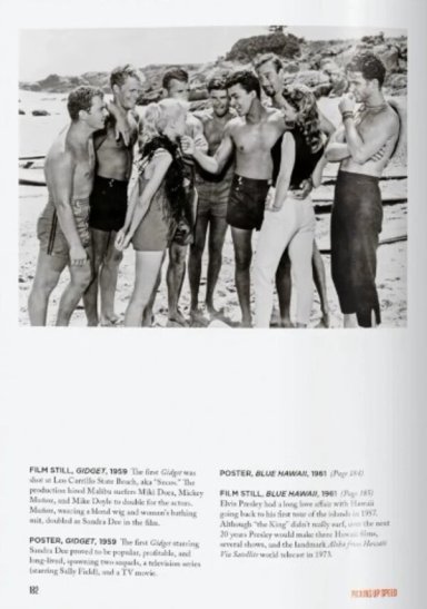 COLECCION 40 ANIVERSARIO  - SURFING -GB - 4