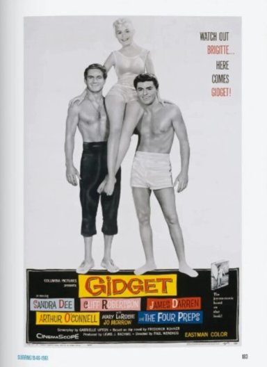 COLECCION 40 ANIVERSARIO  - SURFING -GB - 5