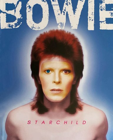 DAVID BOWIE DE EDITORIAL BOLDLETTERS - 3