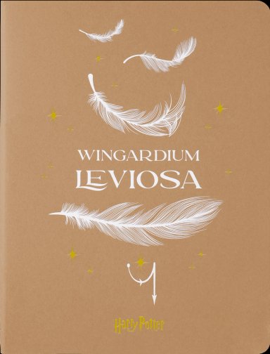 CAHIER ED. LIMIT. WIZARDING WORLD HARRY POTTER XL DE RAYAS - 5