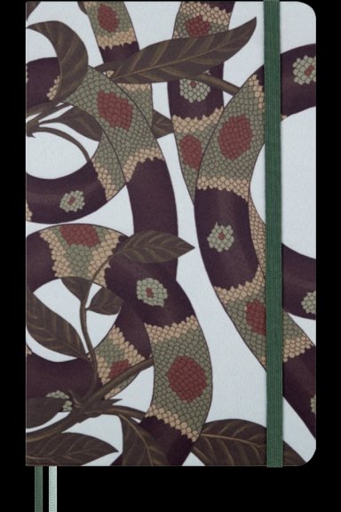 CUADERNO MOLESKINE SERPIENTE - TAPA DURA - LARGE - DE RAYAS - 7