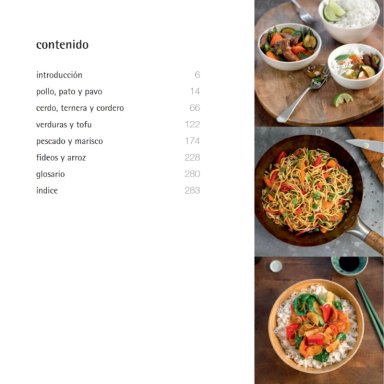 500 RECETAS PARA WOK - 2
