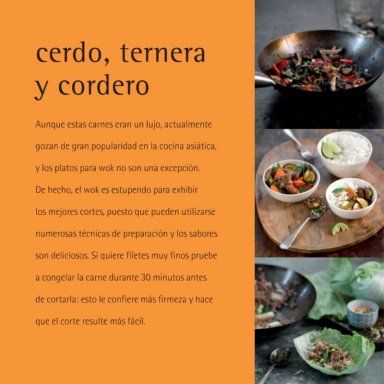500 RECETAS PARA WOK - 3