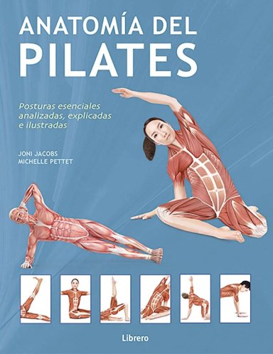ANATOMIA DEL PILATES - 4