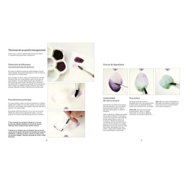 TALLER DE PINTURA BOTANICA. FLORES Y TRANSPARENCIAS - 3