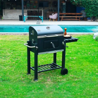 PARRILLA CARBON ALABAMA - 9
