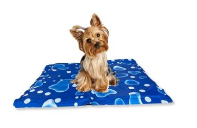 MANTA REFRESCANTE PERROS MAT - 1
