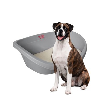 CAMA PERROS GATOS CP010 COOL PETS PLASTICA XL CON COJIN 100X66X31 CM - 1