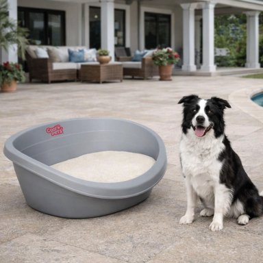 CAMA PERROS GATOS CP012 COOL PETS PLASTICA L CON COJIN 80X55X25 CM - 5