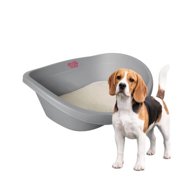 CAMA PERROS GATOS CP013 COOL PETS PLASTICA M CON COJIN 62X43X23 CM - 1
