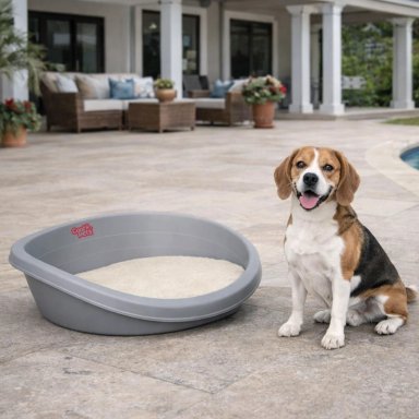 CAMA PERROS GATOS CP013 COOL PETS PLASTICA M CON COJIN 62X43X23 CM - 5