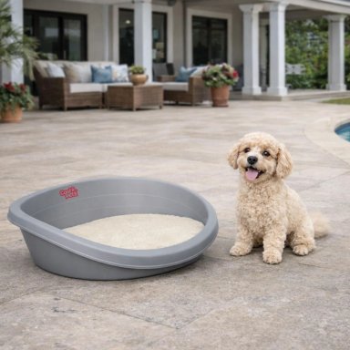 CAMA PERROS GATOS CP014 COOL PETS PLASTICA S CON COJIN 49X34X23 CM - 5