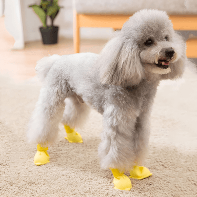 ZAPATOS PERROS MATERIAL IMPERMEABLE SILICONA CRUSEC AMARILLO - 2