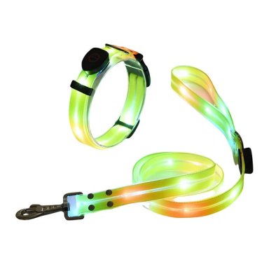 SET CRUSEC CORREA + COLLAR CON LUCES LED IMPERMEABLE - 2