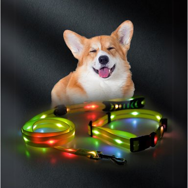 SET CRUSEC CORREA + COLLAR CON LUCES LED IMPERMEABLE - 3