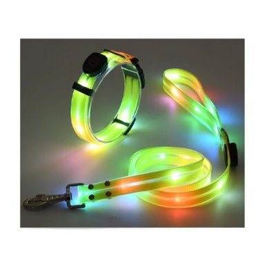 SET CRUSEC CORREA + COLLAR CON LUCES LED IMPERMEABLE - 4