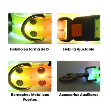 SET CRUSEC CORREA + COLLAR CON LUCES LED IMPERMEABLE - 5