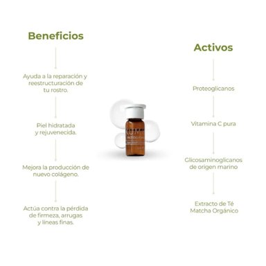 SUERO CONCENTRADO ANTIEDAD - MATCHA INTENSE RECOVERY PROTEOGLYCANS PLUS - 6
