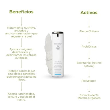 MATCHA REPAIR CALMING COMPLEX - CREMA ANTIARRUGAS Y ANTIPOLUCIÓN CON ALERCE CHILENO - 5