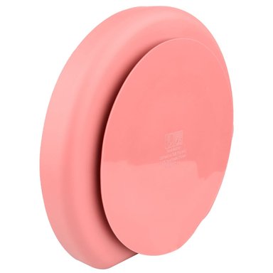 PLATO INFANTI CON DIVISIONES ROJO - 4