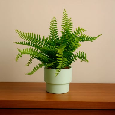 PLANTA ARTIFICIAL HELECHO 22X10 CM - 2