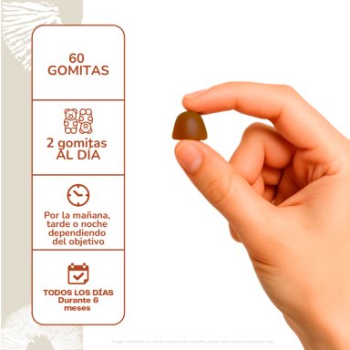 SHIITAKE HONGO - PACK 120 GOMITAS - 4