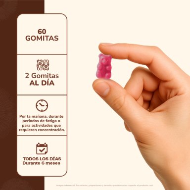 MELENA DE LEON HONGO - PACK 3 X GOMITAS 60 UNI - 4