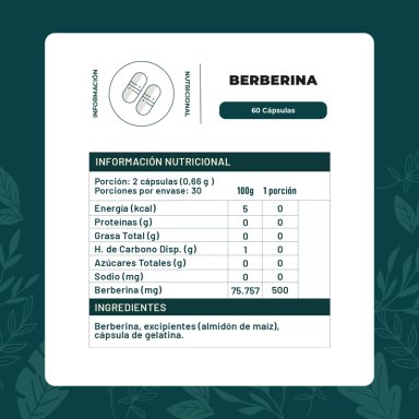 BERBERINA 60 CAPSULAS KARUN LIFE - 2