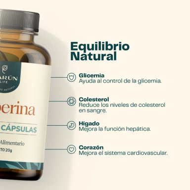 PACK X2 BERBERINA 500 MG - 120 CAPSULAS KARUN LIFE - 3