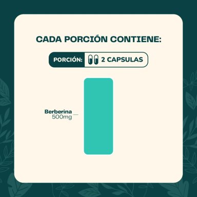 PACK X2 BERBERINA 500 MG - 120 CAPSULAS KARUN LIFE - 5