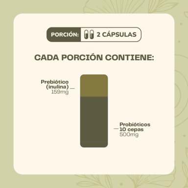 PROBIOTICO DIGESTIVO 60 CAPSULAS KARUN LIFE - 5