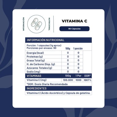 VITAMINA C 90 CAPSULAS - 1000 MG KARUN LIFE - 2